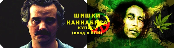 хмурый Бердск